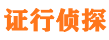 宜川侦探公司